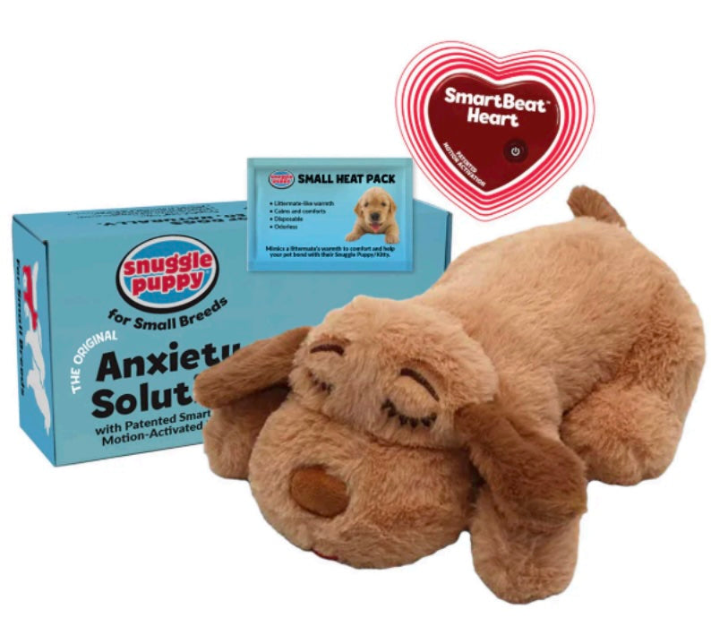 Snuggle Puppy Small Biscuit Starter Pack – The Ultimate Comfort Companion 🐾
